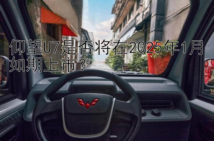 仰望U7是否将在2025年1月如期上市？