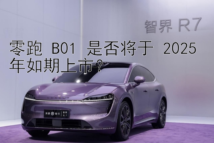 零跑 B01 是否将于 2025 年如期上市？